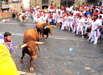 Un encierro masivo y sin cornadas en el domingo de Sanfermines
