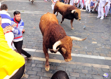 Un encierro masivo y sin cornadas en el domingo de Sanfermines
