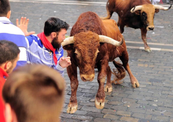 Un encierro masivo y sin cornadas en el domingo de Sanfermines