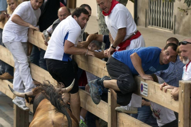 Imágenes del cuarto día de las fiestas de Tafalla.