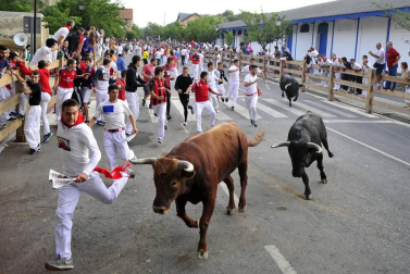 Imágenes del cuarto día de las fiestas de Tafalla.