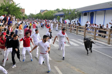 Imágenes del cuarto día de las fiestas de Tafalla.