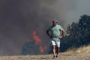 Incendio de grandes dimensiones entre Tafalla y Pueyo