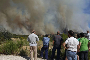Incendio de grandes dimensiones entre Tafalla y Pueyo
