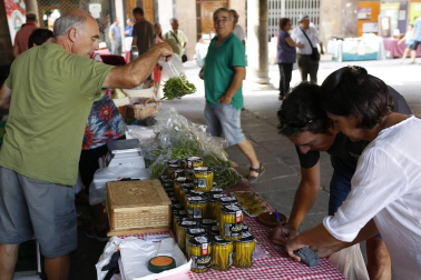Las pochas invadieron la calle Mayor en el V Elogio a la Pocha de Sangüesa