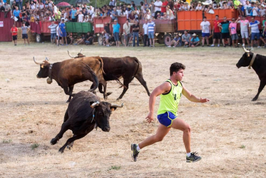 Dos heridos con traumatismo en la traída de las vacas de Cintruénigo