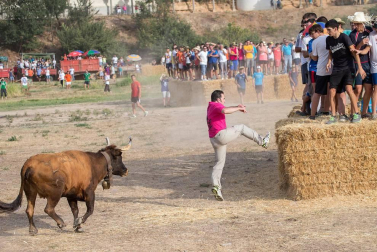Dos heridos con traumatismo en la traída de las vacas de Cintruénigo