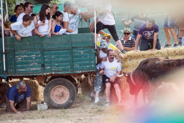 Dos heridos con traumatismo en la traída de las vacas de Cintruénigo