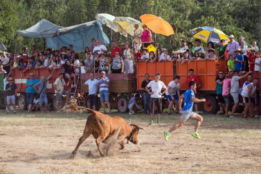 Dos heridos con traumatismo en la traída de las vacas de Cintruénigo