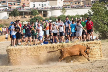 Dos heridos con traumatismo en la traída de las vacas de Cintruénigo