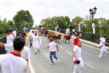 Imágenes de las fiestas de Peralta 2016