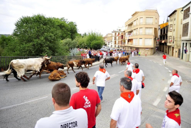 Imágenes de las fiestas de Peralta 2016