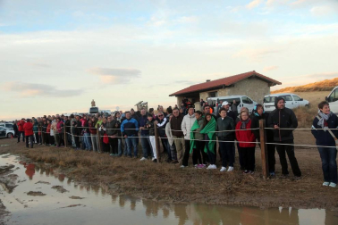 Imágenes de la entradas de las ovejas a las Bardenas Reales en un homenaje a trashumancia.