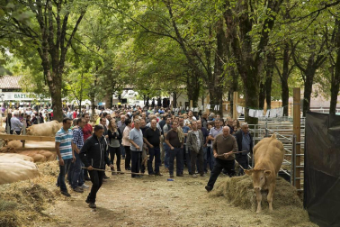 Imágenes de la feria de ganado pirenaico en Elizondo