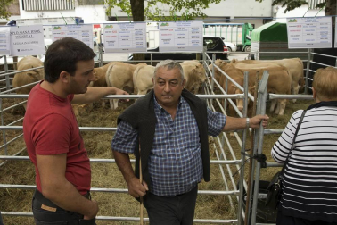 Imágenes de la feria de ganado pirenaico en Elizondo