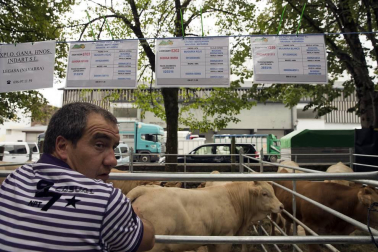 Imágenes de la feria de ganado pirenaico en Elizondo