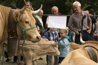 Imágenes de la feria de ganado pirenaico en Elizondo