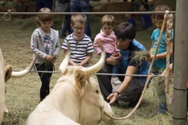 Imágenes de la feria de ganado pirenaico en Elizondo