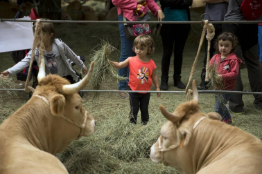 Imágenes de la feria de ganado pirenaico en Elizondo