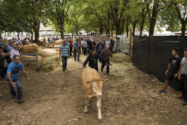 Imágenes de la feria de ganado pirenaico en Elizondo