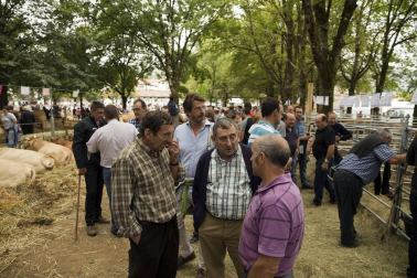 Imágenes de la feria de ganado pirenaico en Elizondo
