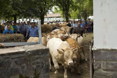 Imágenes de la feria de ganado pirenaico en Elizondo