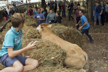 Imágenes de la feria de ganado pirenaico en Elizondo
