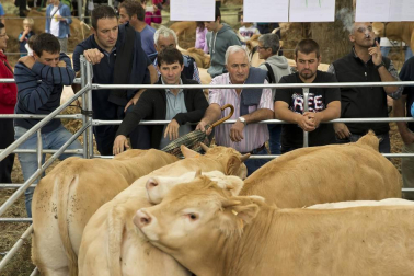 Imágenes de la feria de ganado pirenaico en Elizondo