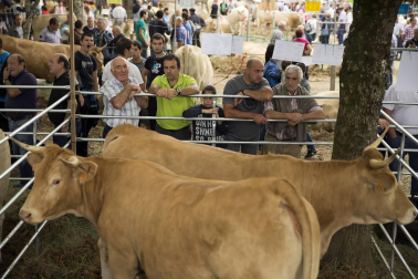 Imágenes de la feria de ganado pirenaico en Elizondo