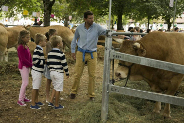 Imágenes de la feria de ganado pirenaico en Elizondo