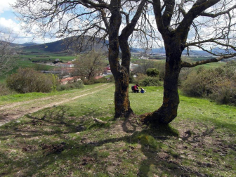 Conocer Navarra ofrece propuestas para hacer senderismo con los peques en Pamplona y la Comarca-