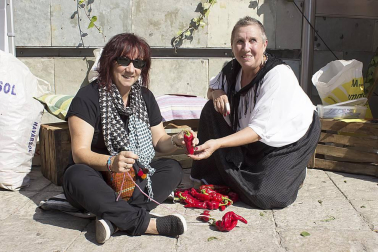 El sábado 1 de octubre se celebraron los actos principales de las jornadas 2016 de exaltación del Piquillo de Lodosa. En primer lugar, se entregó el reconocimiento 'Piquillo de plata' al actor Karra Elejalde, acto tras el cual se procedió a iniciar la demostración de asado tradicional y ensartido de los frutos, así como a la esperada degustación. Un mercado de pimientos del Piquillo de Lodosa y de productos artesanos animó también la jornada.