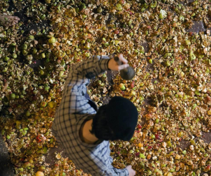 La tradicional fiesta de la Kirikoteka cumple 17 años con 2.200 kilos de manzanas y unos 1.300 litros de jugo. El buen tiempo acompañó a dantzaris, arizkundarras y visitantes durante toda la mañana.