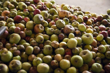 La tradicional fiesta de la Kirikoteka cumple 17 años con 2.200 kilos de manzanas y unos 1.300 litros de jugo. El buen tiempo acompañó a dantzaris, arizkundarras y visitantes durante toda la mañana.