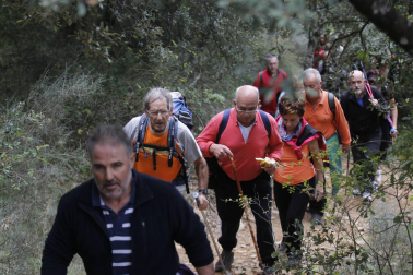 Imágenes de la XXIII edición de la Marcha a San Cristóbal organizada por Anaitasuna