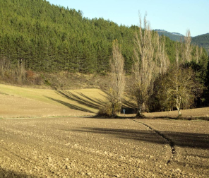 Propuesta de un paseo apto para cualquier andarín, incluso para los menos experimentados.