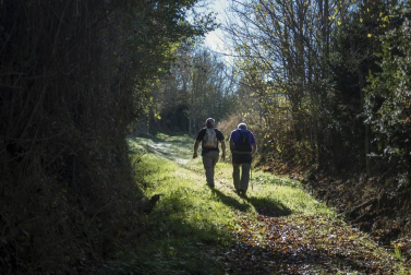 Propuesta de un paseo apto para cualquier andarín, incluso para los menos experimentados.