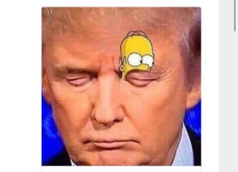 Las redes sociales se llenan de 'memes' tras la victoria de Donald Trump.