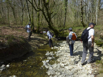 Recorrido por la Cañada de 'Los Toros' propuesto por 'Conocer Navarra'.