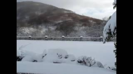 Nevada en Roncesvalles