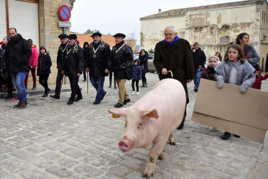 Ayer se celebró en Artajona la 199 Rifa del Cuto en honor a San Antón, una fiesta centenaria que repartió 10 cerdos.
