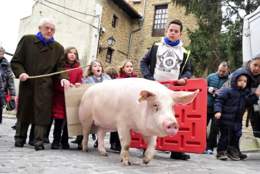 Ayer se celebró en Artajona la 199 Rifa del Cuto en honor a San Antón, una fiesta centenaria que repartió 10 cerdos.