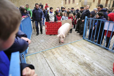 Ayer se celebró en Artajona la 199 Rifa del Cuto en honor a San Antón, una fiesta centenaria que repartió 10 cerdos.