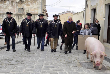 Ayer se celebró en Artajona la 199 Rifa del Cuto en honor a San Antón, una fiesta centenaria que repartió 10 cerdos.