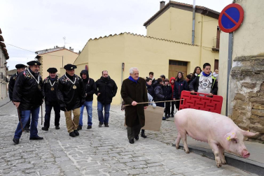 Ayer se celebró en Artajona la 199 Rifa del Cuto en honor a San Antón, una fiesta centenaria que repartió 10 cerdos.