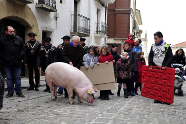 Ayer se celebró en Artajona la 199 Rifa del Cuto en honor a San Antón, una fiesta centenaria que repartió 10 cerdos.