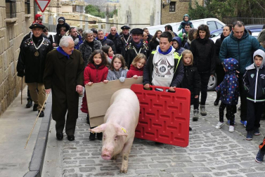 Ayer se celebró en Artajona la 199 Rifa del Cuto en honor a San Antón, una fiesta centenaria que repartió 10 cerdos.