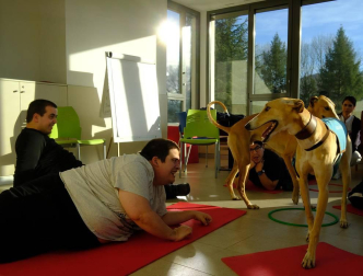Dos galgos están cambiando, a mejor, el ritmo de vida del centro hospitalario benito menni de elizondo.