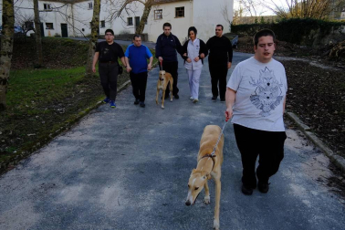Dos galgos están cambiando, a mejor, el ritmo de vida del centro hospitalario benito menni de elizondo.