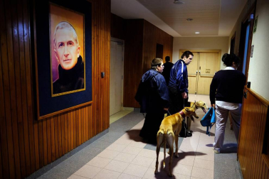 Dos galgos están cambiando, a mejor, el ritmo de vida del centro hospitalario benito menni de elizondo.